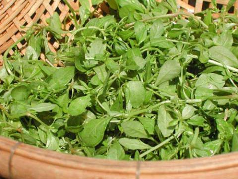 thực phẩm khó ăn nhưng giàu chất dinh dưỡng