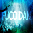 Loại thuốc Fucoidan Nhật Bản và Mỹ nào tốt nhất hiện nay?