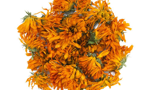 Calendula or marigold