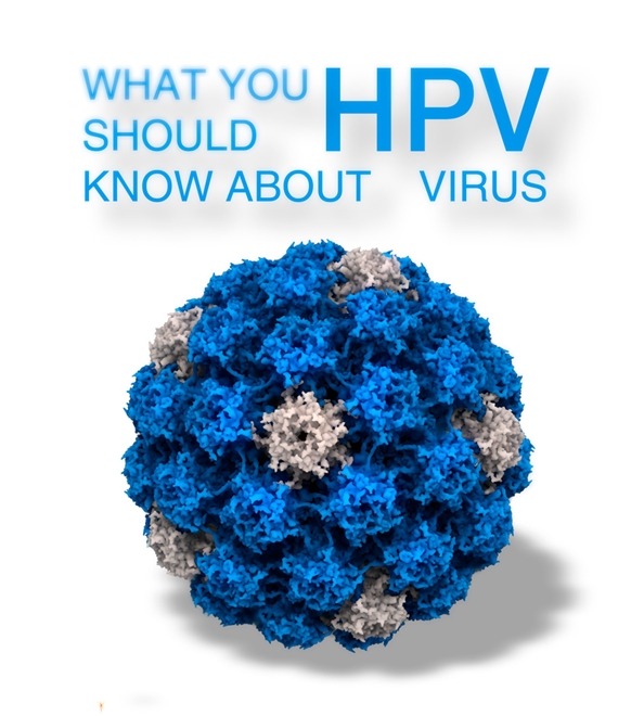 Virus HPV là loại virus gây u nhú ở người lây truyền phổ biến qua đường tình dục