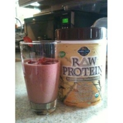 Garden of Life RAW Protein