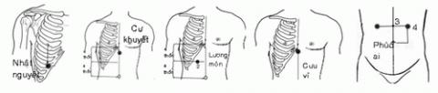 Kinh nghiệm quý giúp bạn tự kiểm tra sức khỏe từ trong ra ngoài