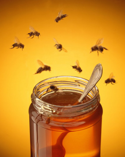 Mật ong: thêm nhiều công dụng chưa ai biết