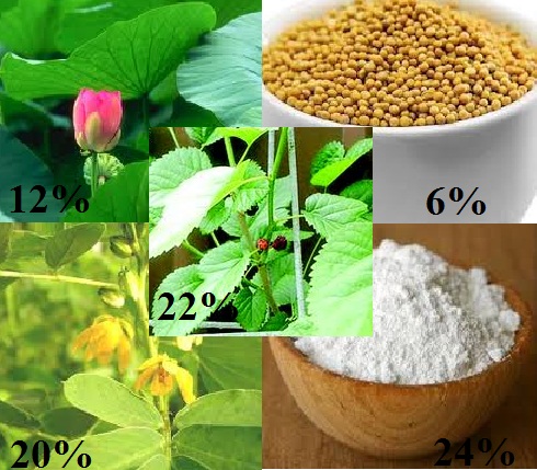 best slim, tpcn giúp giảm cân hiệu quả, 40 viên