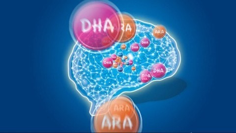 DHA tốt cho trí não và mắt của thai nhi