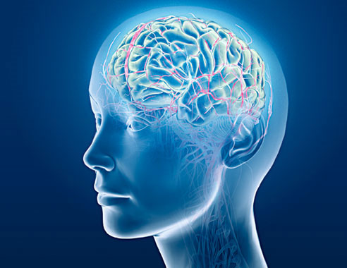 Thuốc bổ não & tăng cường trí nhớ cho học sinh, sinh viên, người làm việc căng thẳng 