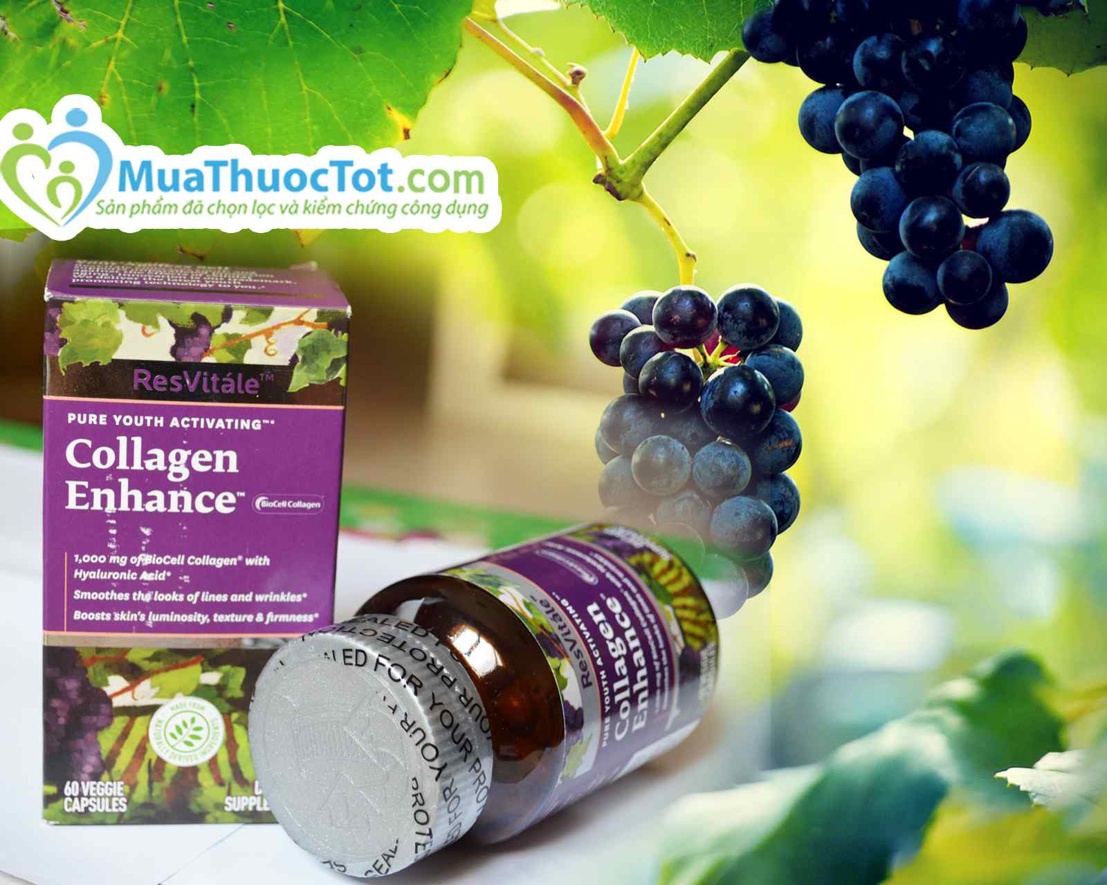 3. thuốc bổ sung collagen làm đẹp da gnc resvitále™ collagen enhance chiết xuất rượu nho pháp mua ở đâu