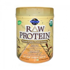 Garden of Life RAW Protein
