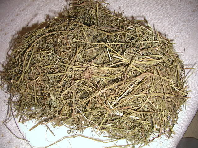 Chanca piedra – viên uống hỗ trợ điều trị sỏi thận 90 viên giải quyết các vấn đề sỏi thận và mật, cũng như các vấn đề khác liên quan đến tiết niệu
