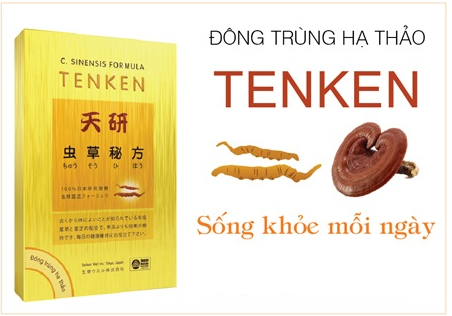 Ðông Trùng Hạ Thảo Ten Ken sự kết hợp hài hòa giữa đông trùng hạ thào và linh chi đỏ