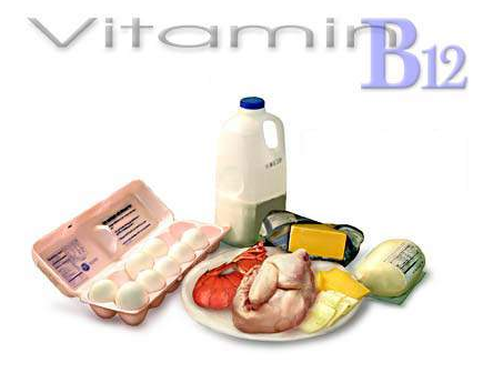 Vitamin B12 cần thiết cho tất cả các mô có tốc độ sinh trưởng tế bào