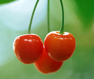 Trái cây và rau quả màu đỏ là thực phẩm làm tăng hàm lượng collagen trong cơ thể