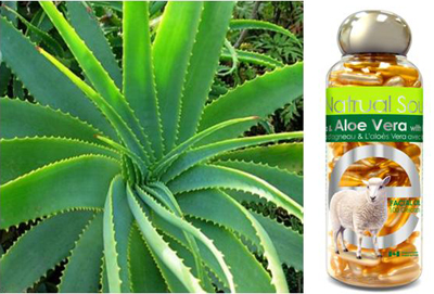 Lamb Placenta With Alone Vera & Vitamin E