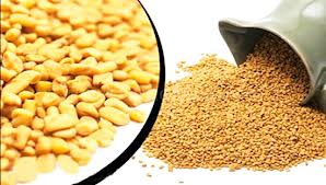 Bổ thận với hạt methi