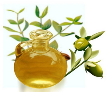 AINTEROL Pueraria Mirifica Breast Cream chứa nhiều tinh chất dầu Jojoba