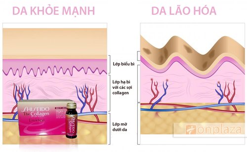 Nước uống bổ sung collagen- Collagen Enriched Shiseido