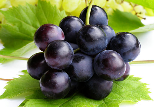 Resveratrol chứa nhiều nhất trong quả nho
