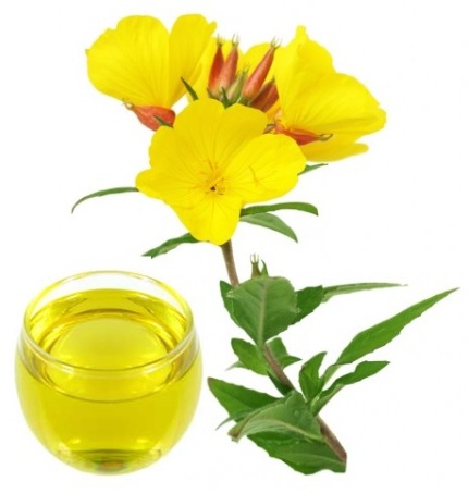 Tinh dầu hoa anh thảo chứa nhiều omega 6
