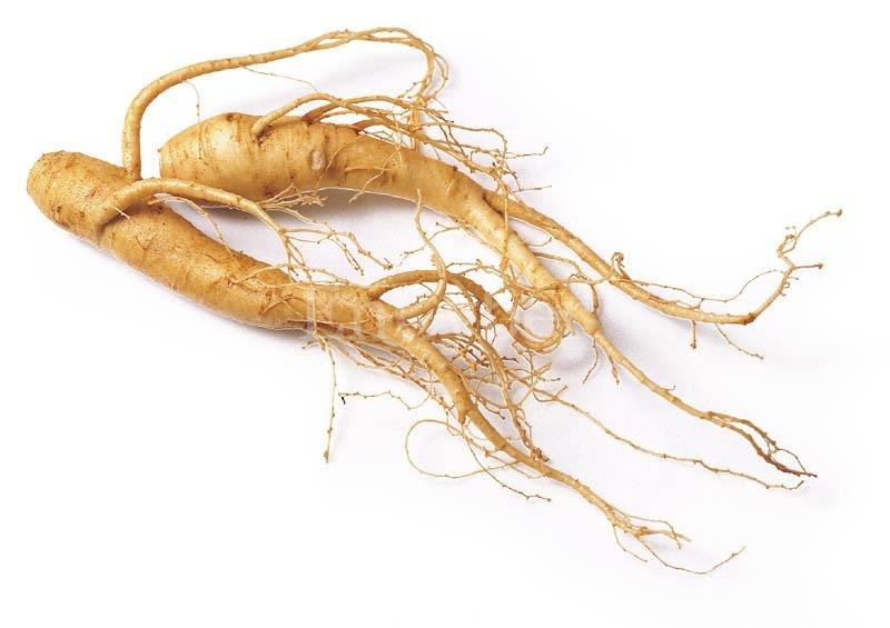 Now panax ginseng, 520mg – viên uống nhân sâm, tái tạo nguồn năng lượng, sức sống cho cơ thể, 100 viên