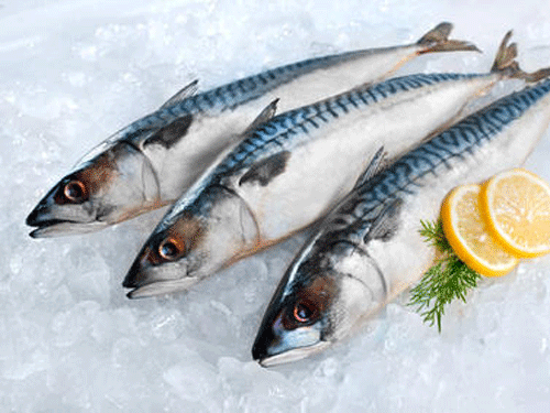 Dầu cá có chứa các axit béo omega-3 có lợi cho tim mạch và trí não