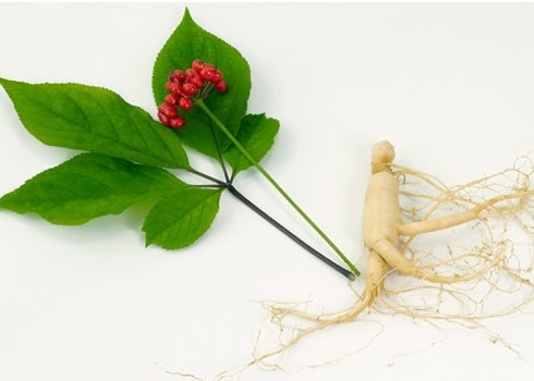 Tác dụng nổi bật của nuhealth american ginseng concentrate