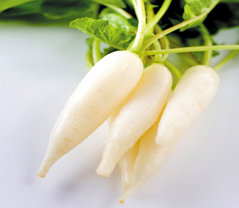 Củ cải đường giúp nuôi dưỡng máu