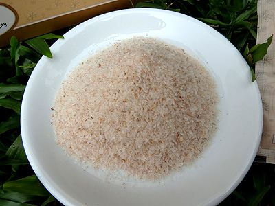 ovata