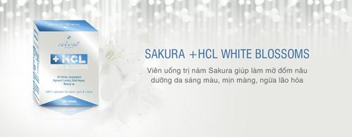 Tác dụng nổi bật của sakura hcl white blossom