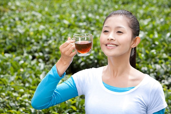 Trà xanh nhật bản osk 100% japanese green tea 50 gói