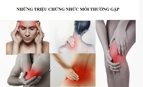 Công dụng của jarrow formulas bone-up