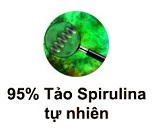 Nguồn gốc của tảo mặt trời spirulina