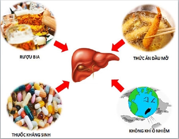 Công dụng của jarrow formulas inositol capsules