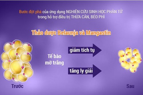 Viên uống giảm cân lic 60 viên - hỗ trợ giảm cân an toàn, cải thiện vóc dáng
