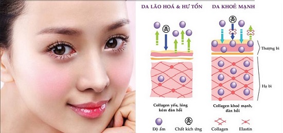 Bột uống hanamai collagen pig nhật bản 30 gói