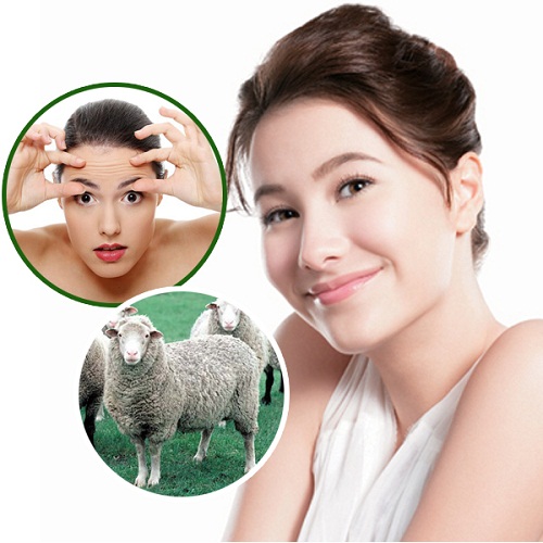 Viên dưỡng da trị nám nhau thai cừu placenta & avocado with vitamin e 100 viên