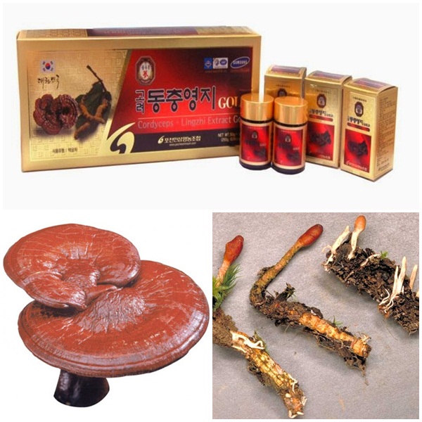 Công dụng của cao đông trùng hạ thảo