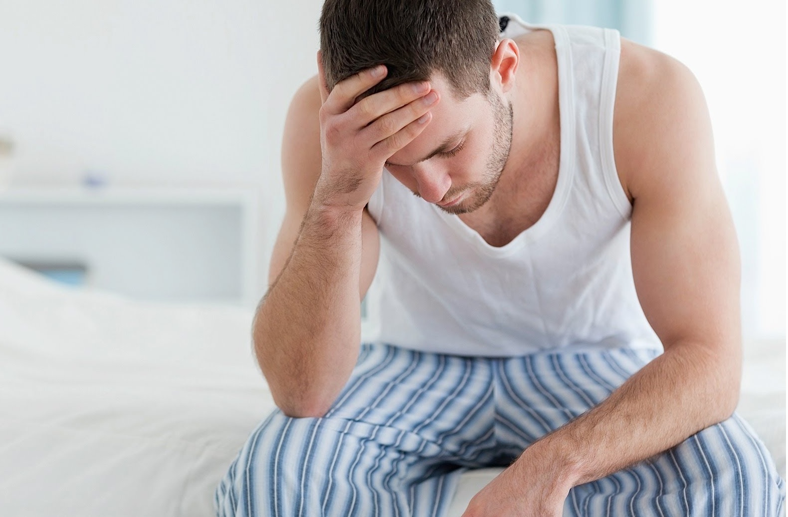 ♦ cây cọ lùn