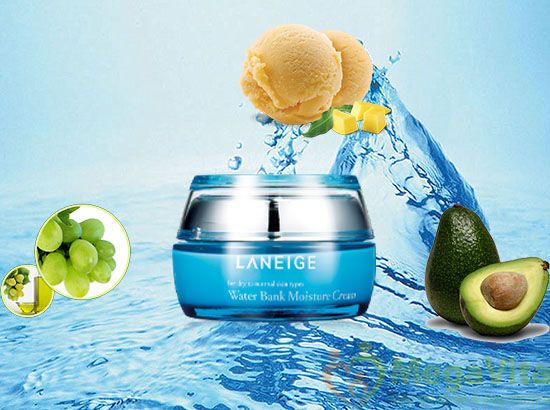Kem dưỡng ẩm dành cho da khô laneige water bank moisture cream 50ml