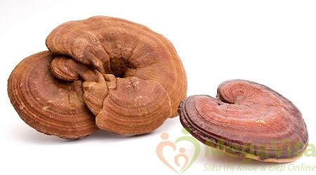 Viên uống tăng cường sức khỏe viên nang mềm tảo xoắn linh chi 120 viên