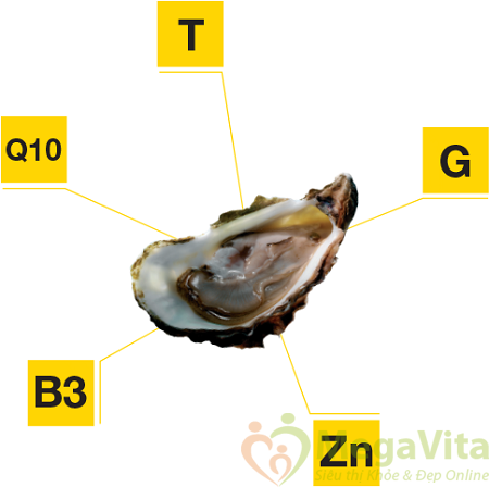 Viên uống tăng cường sinh lý nam chiết xuất từ hào oyster extract 90 viên