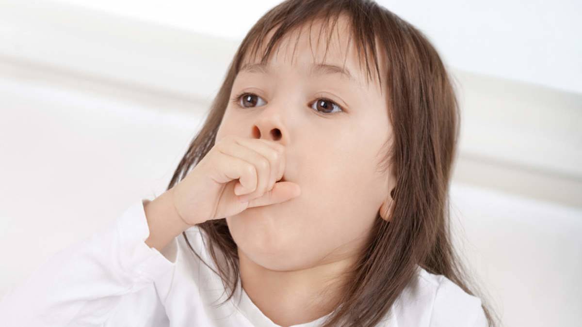 Siro trị ho cho trẻ em zarbee’s naturals children cough syrup