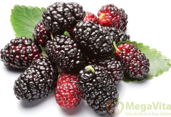Kem dưỡng trắng da dâu tằm - mulberry precious whitening cream