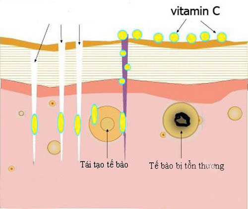 Kem dưỡng ẩm da mặt, chống lão hóa cao cấp từ mỹ retinol hyaluronic collagen moisturizer 120ml