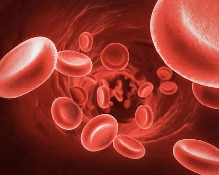 Viên uống bổ sung vitamin và khoáng chất preiq dành cho phụ nữ trước, trong và sau khi mang thai hộp 30 viên