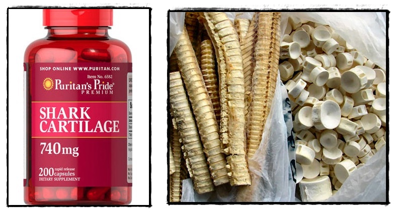 Viên uống hỗ trợ xương khớp sụn vi cá mập puritan’s pride shark cartilage 740mg 200 viên