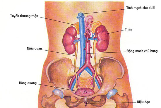 Ngăn ngừa sâu răng