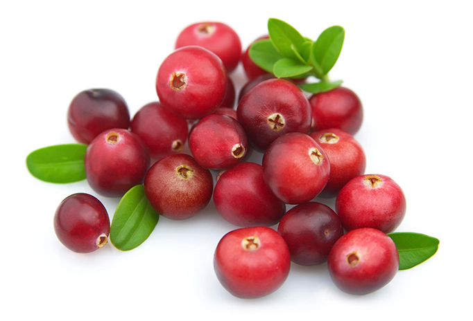Ngăn chặn sự sản sinh thêm của dấu hiệu nhiễm khuẩn và loại bỏ chúng ra khỏi cơ thể.