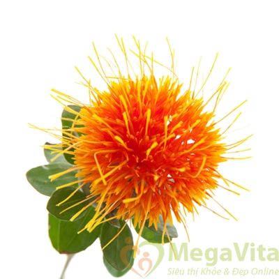 Viên uống hỗ trợ giảm cân an toàn bán chạy nhất tại Mỹ Nature Wise CLA 1250 hộp 180 viên hình 5