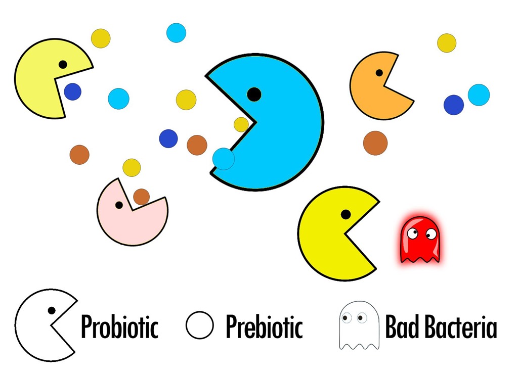 Kẹo bổ sung lợi khuẩn, ngăn ngừa táo bón, hỗ trợ tiêu hóa cho trẻ Kids Smart Probiotic hương Sữa chua hộp 50 viên hình 4