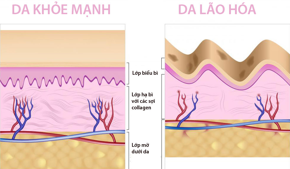 Mặt nạ làm trắng da, xóa mờ thâm nám Collagen Crystal Facial Mask của Đức khay 1 miếng